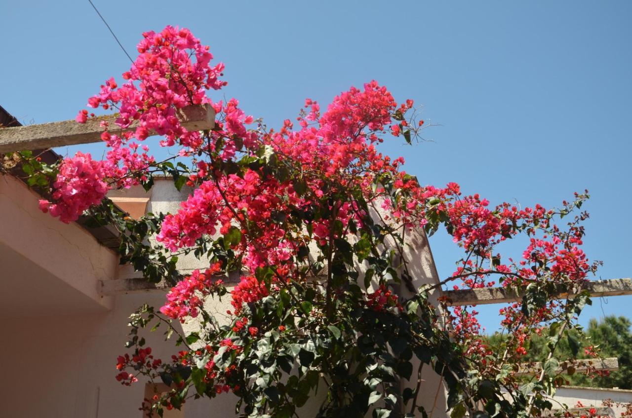 كامبوفيليتْشّي دي روتْشّي Villa Teti - Sicilia المظهر الخارجي الصورة