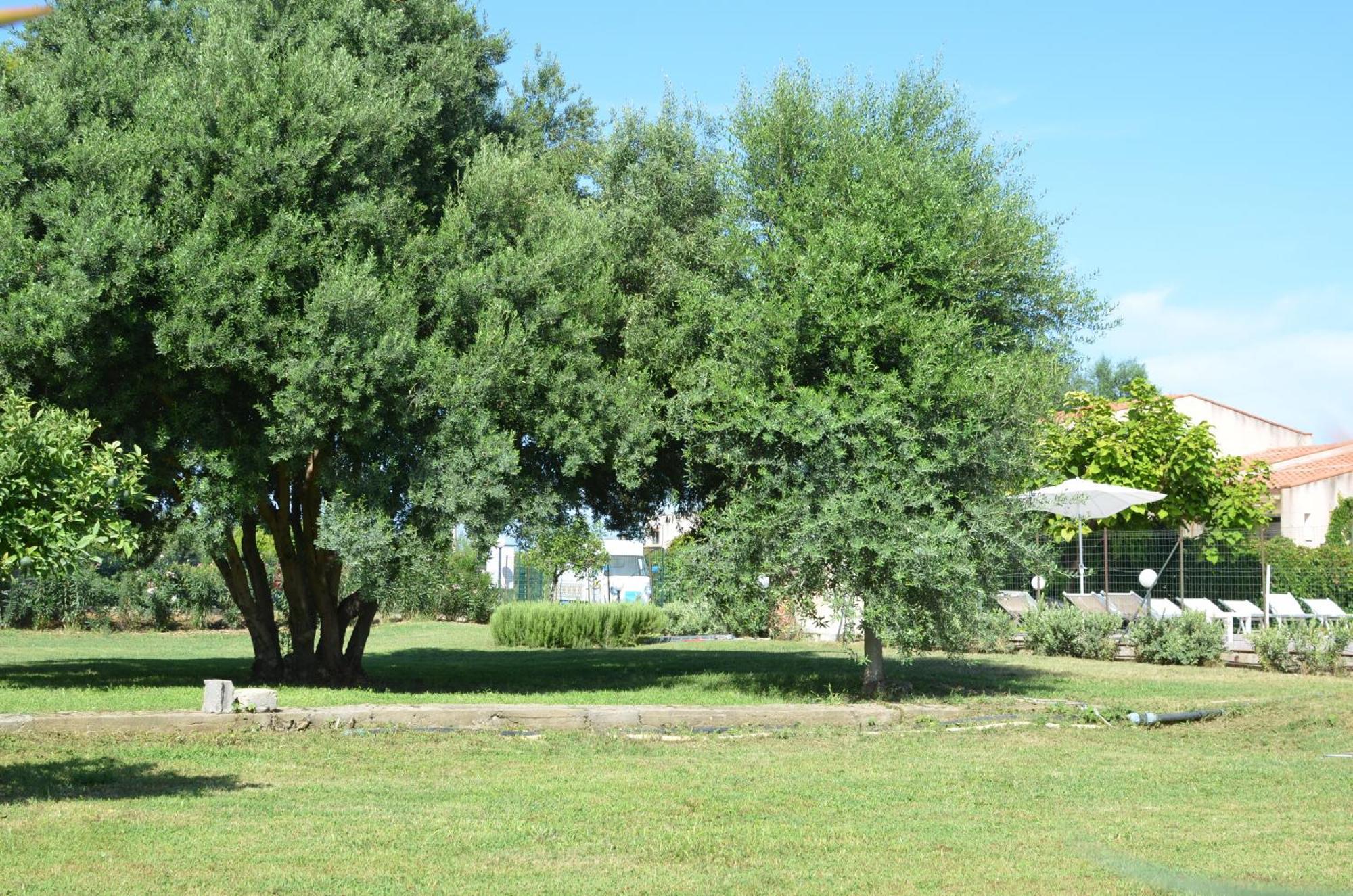 كامبوفيليتْشّي دي روتْشّي Villa Teti - Sicilia المظهر الخارجي الصورة